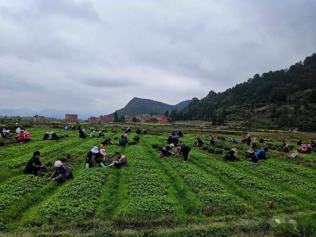 三都脱贫攻坚大回访提升群众获得感