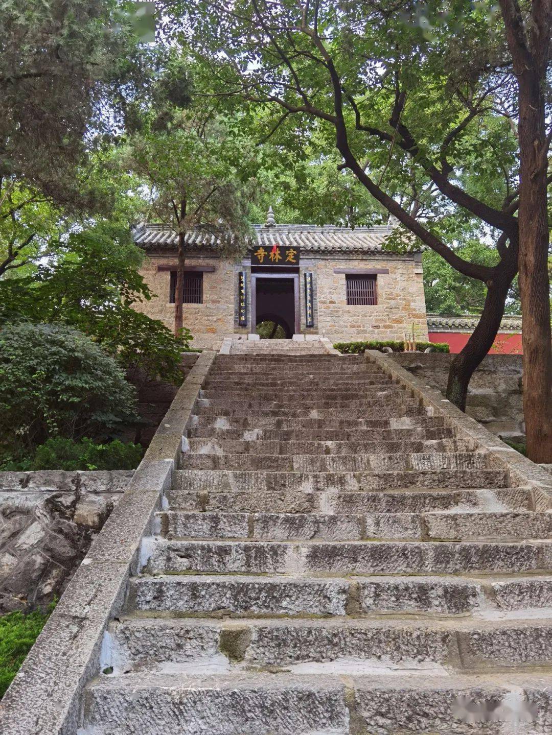 据说,浮来山上的那棵老树,也有人听到过它发出声音.