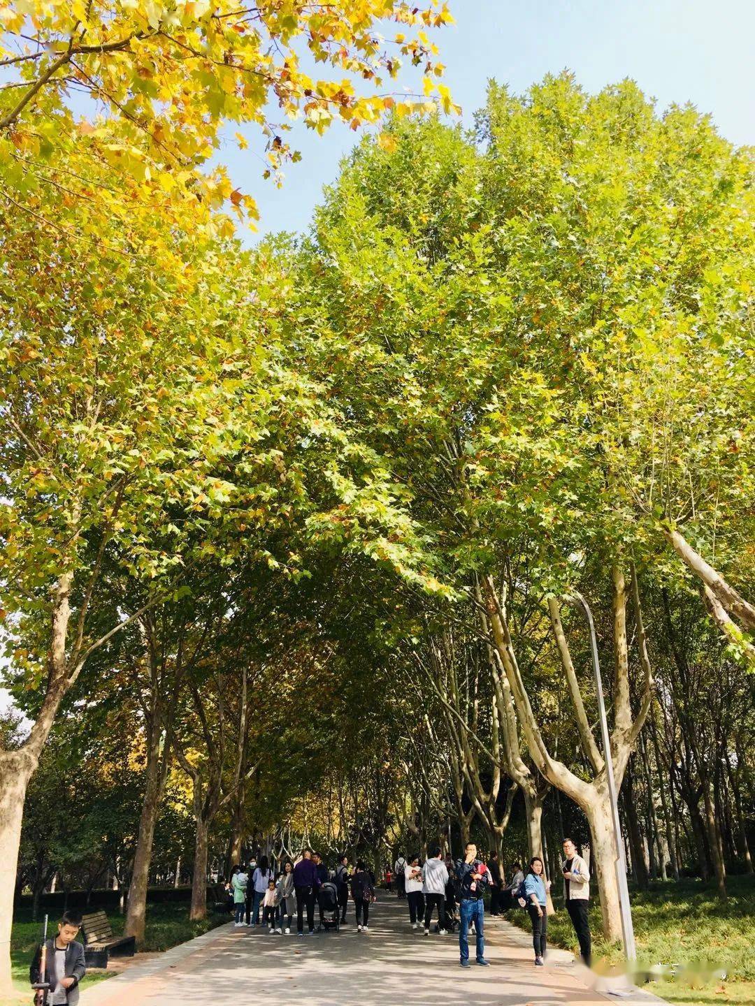 實探藏在熱帶植物展覽溫室的春夏還有趣味兒童科普區地鐵可直達