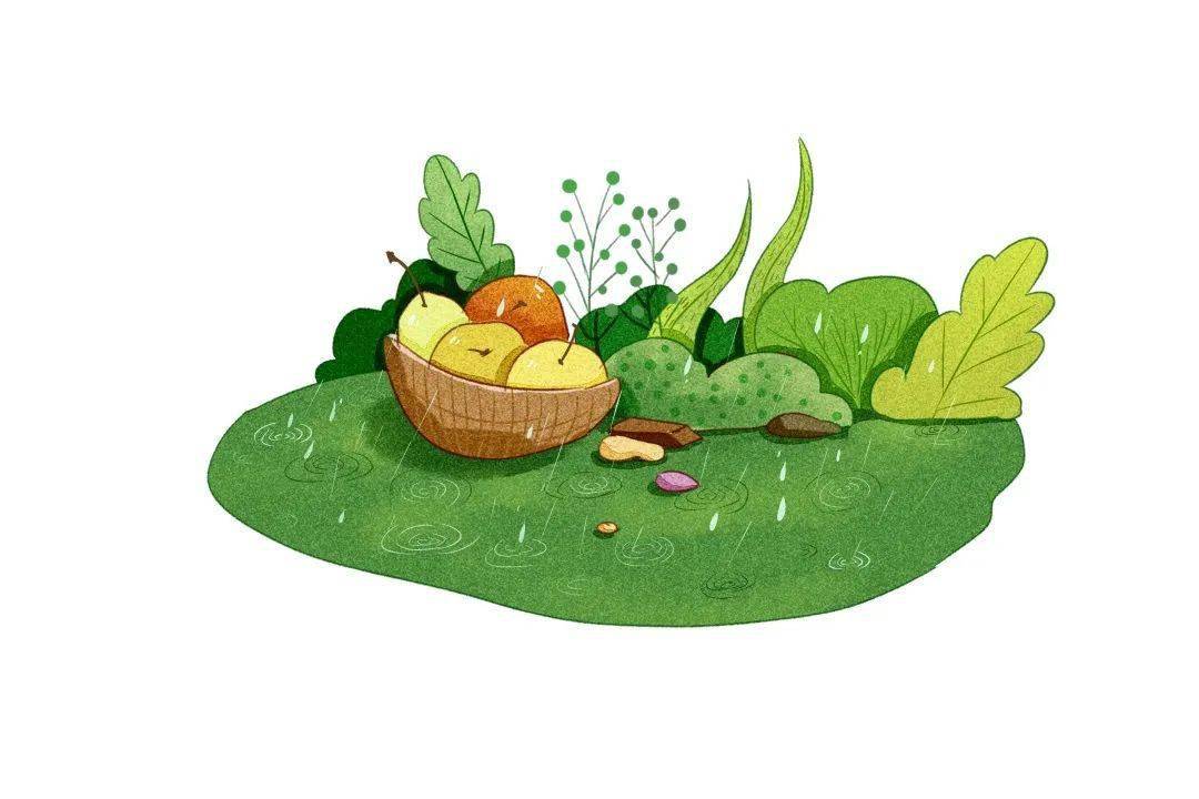 湖州绿色优质农产品又获奖啦