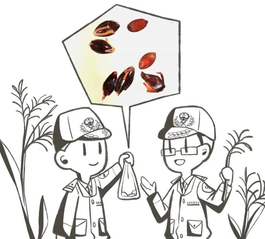 新法驾到带你走近中华人民共和国生物安全法