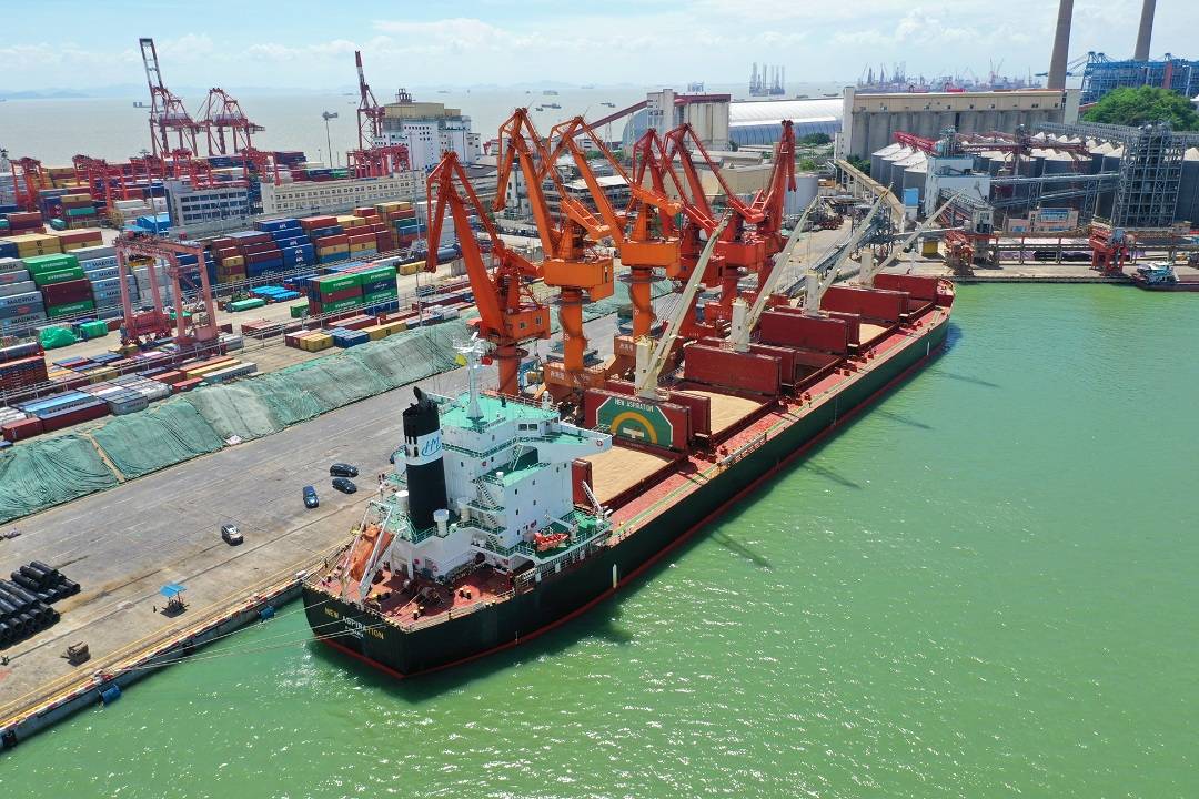 蛇口顺德组合港项目启动