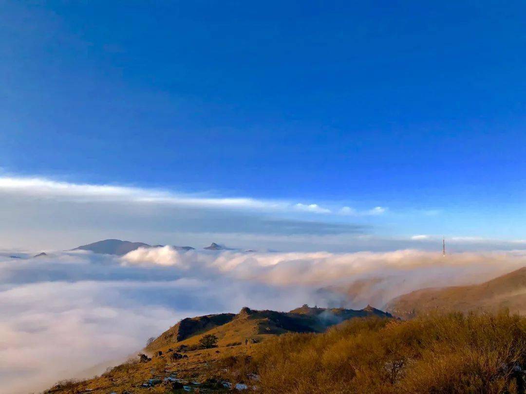 本周末起轿顶山迎来稳定云海季