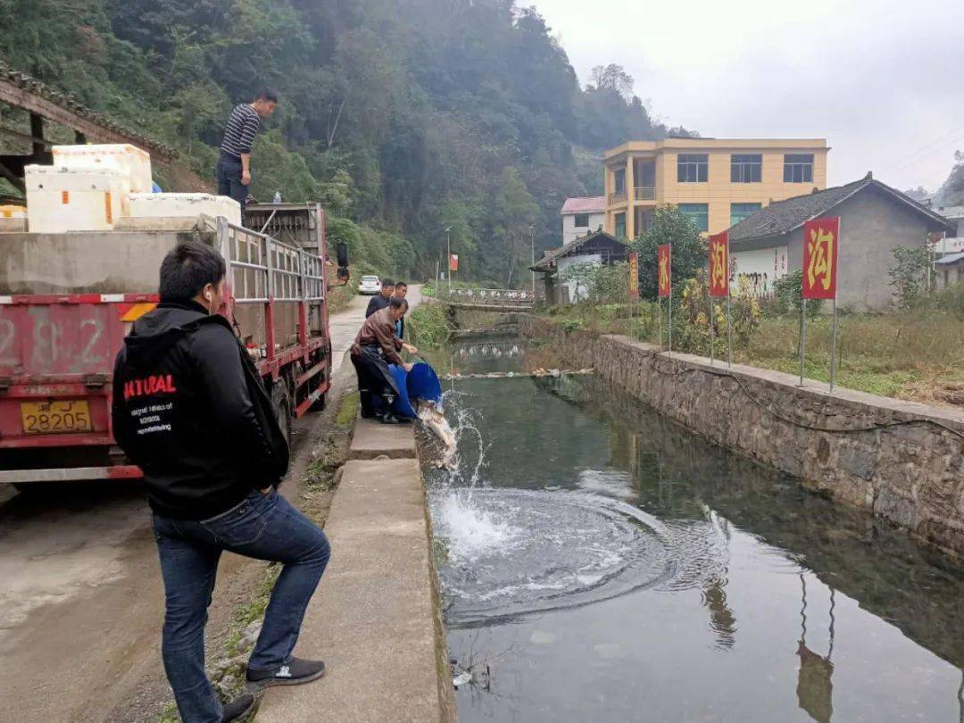 松桃县太平营街道图片