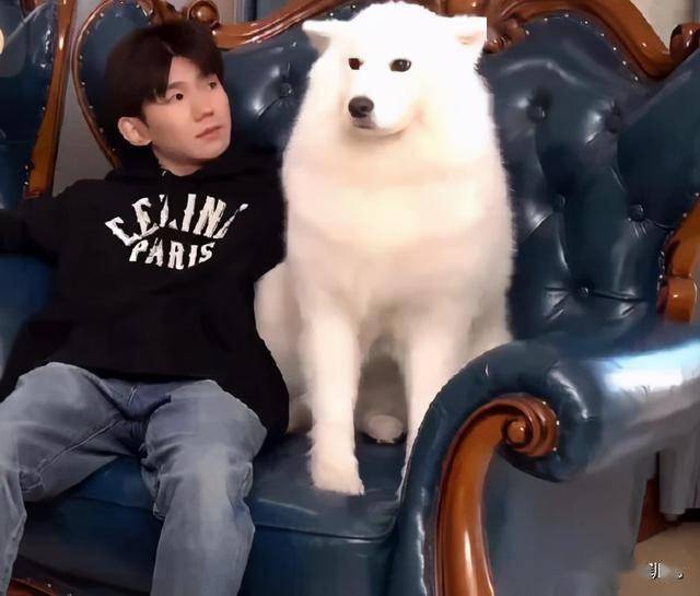 流浪狗入驻白宫看看新总统拜登就知道为什么要找养狗的男人