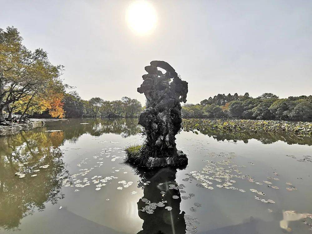 九狮石 九曲桥畔,正面一块大石,名"九狮石"上有九只形态各异的狮子,有