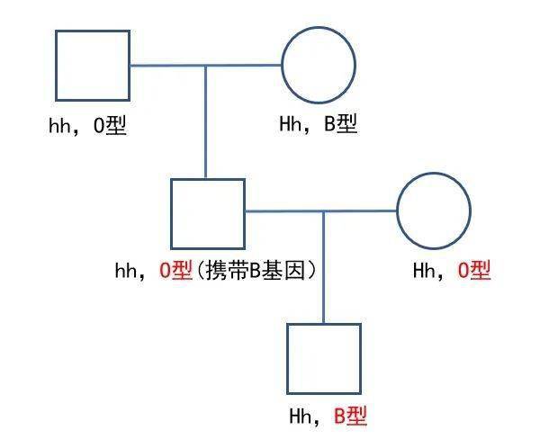 o型血父母竟能生出b型血宝宝?_血型