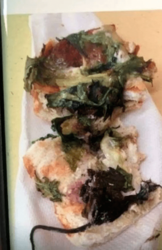 昆州咖啡店汉堡里吃出一整只死老鼠?_tsui