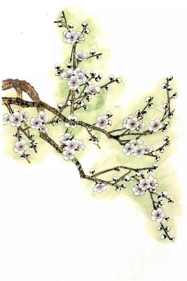 【国画教程】彩墨梅花画法步骤_手机搜狐网