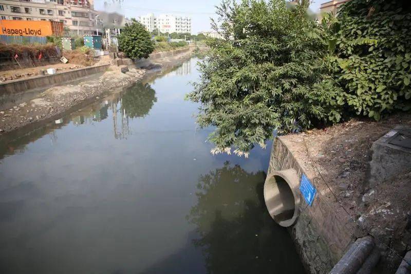 探索中山模式入河排污口如何整治他们有秘方