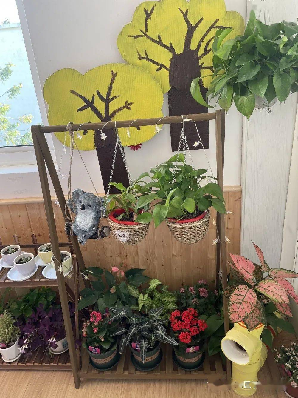 小班的自然角充满童趣,以直观,常见,典型,成品类为主,为幼儿营造了一