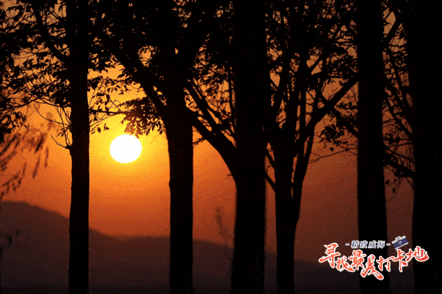 在书里看过一千句关于秋末冬初的句子,都不及此刻,慵懒黄昏和恰到