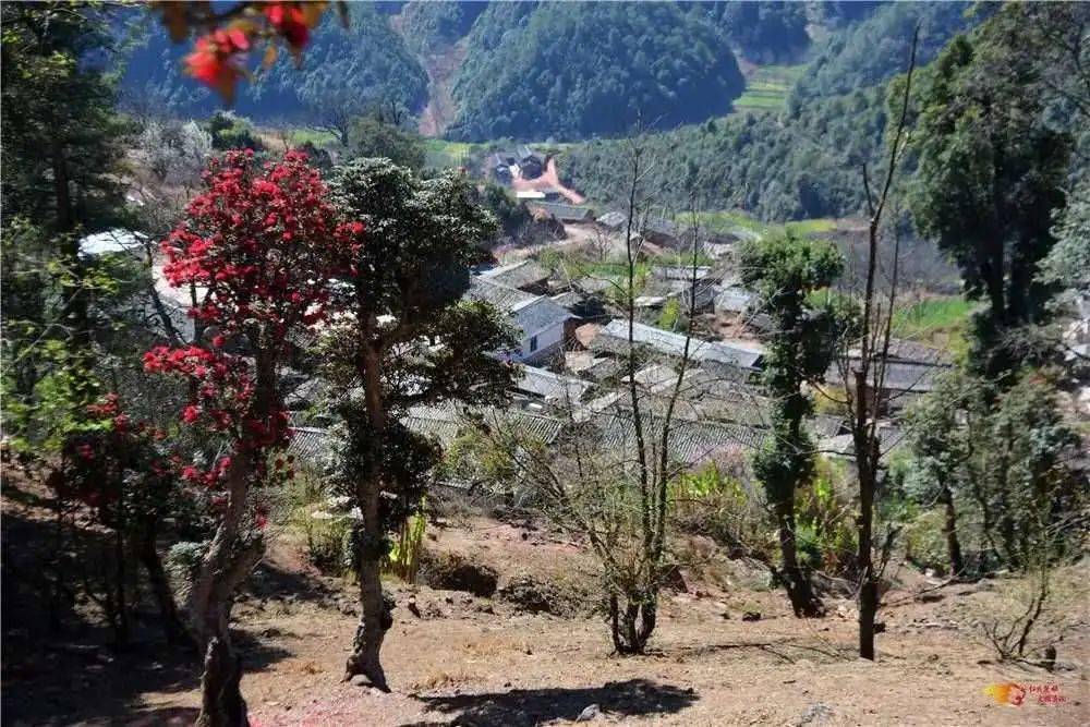 永仁縣宜就鎮阿朵所村,祿豐縣土官鎮烏龍潭村擬認定為雲南省旅遊扶貧