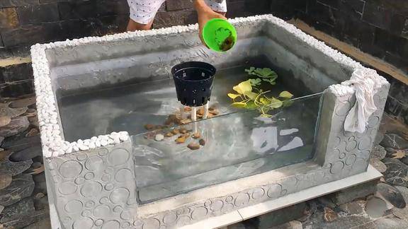 利用泡沫箱教你在家自制鱼池方法简单实用喜欢养鱼的学起来