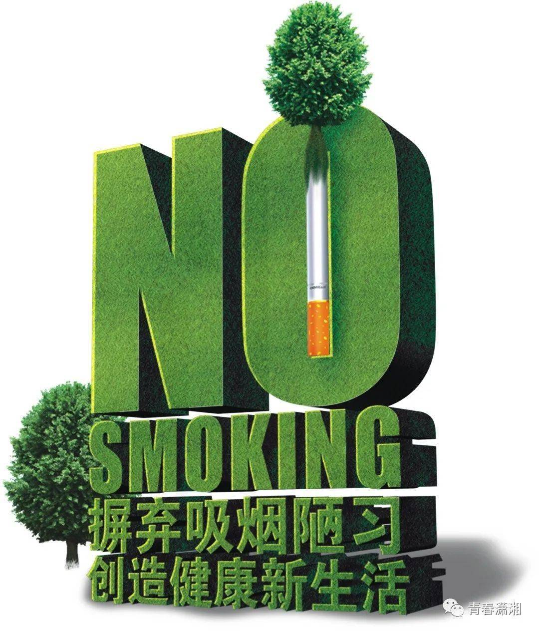 活动通过粘贴禁烟宣传海报,发放禁烟宣传资料,组织禁烟横幅签名等方式