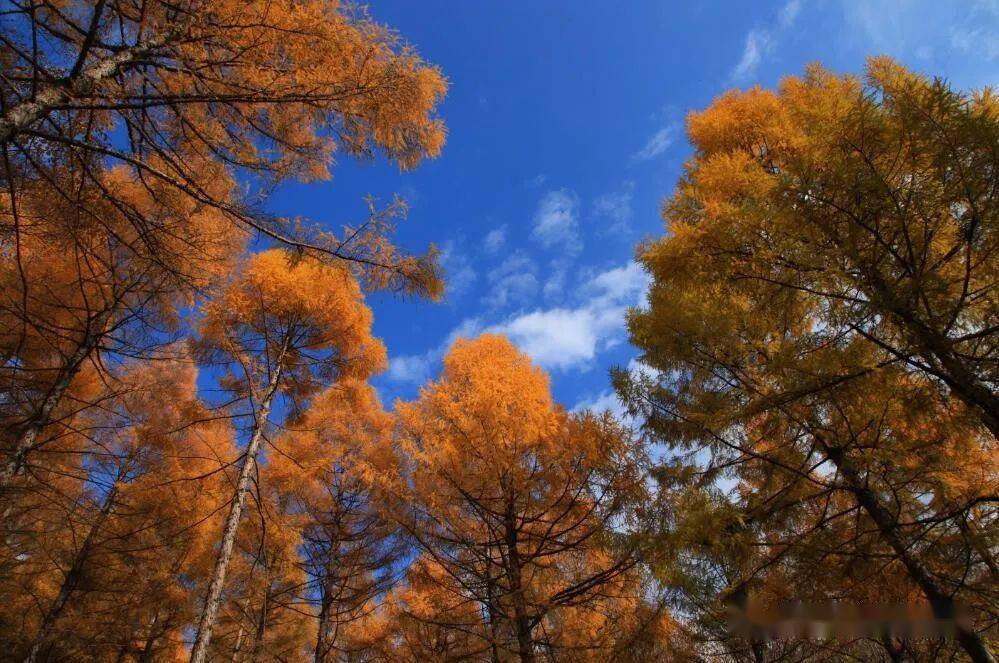 【全域旅游宣传推介】深秋六鼎山,美不曾停歇