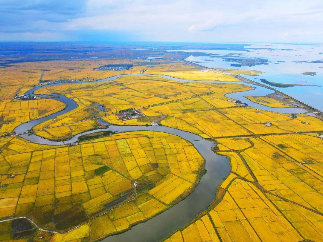 白城有品11连增镇赉县努力打造镇赉大米地标品牌由水稻大县向水稻强县