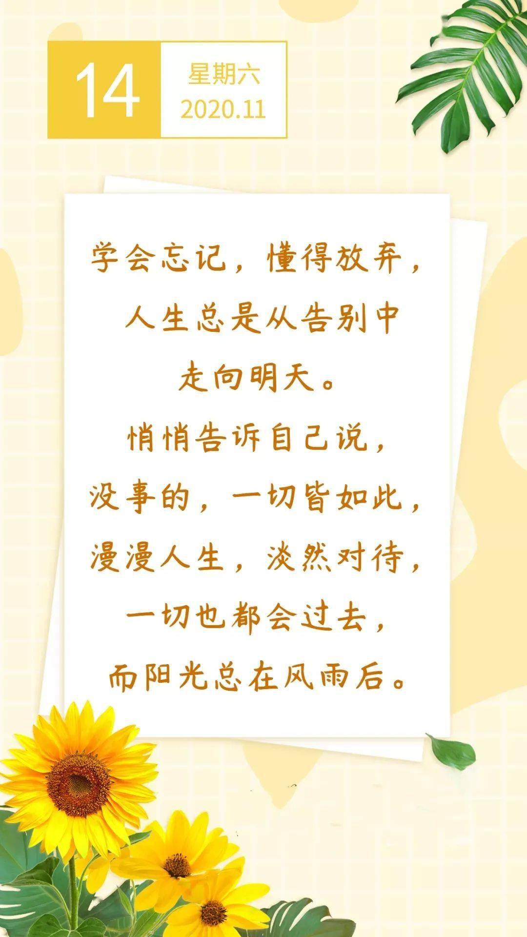 学会忘记懂得放弃