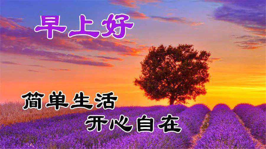 11月14日最漂亮早上好动态表情图片大全早晨好动图美图大全