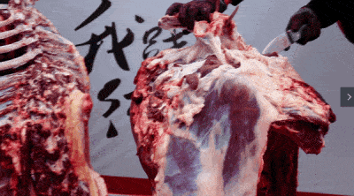 400_222gif 动态图 动图