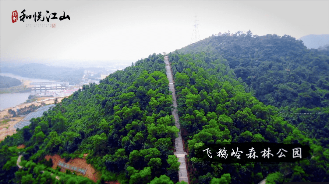 四会飞鹅岭湿地公园图片