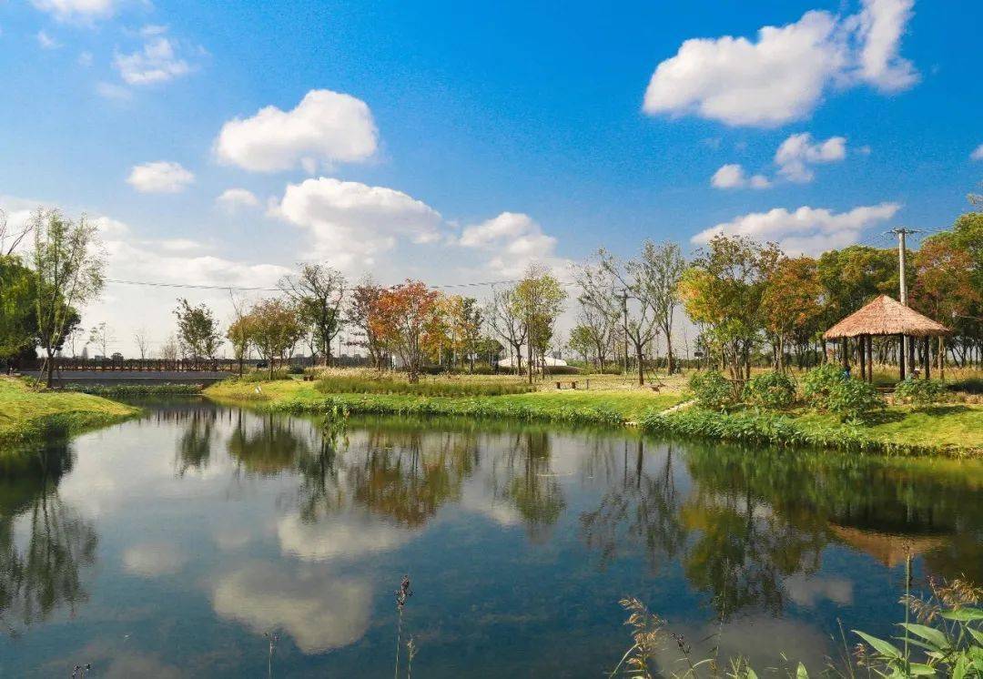 去郊野公園秋遊,在環城河步道散步,在嘉定看天藍地綠水清