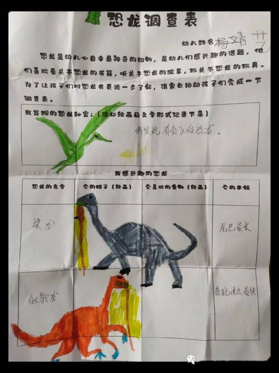 幼儿园恐龙调查表格图片