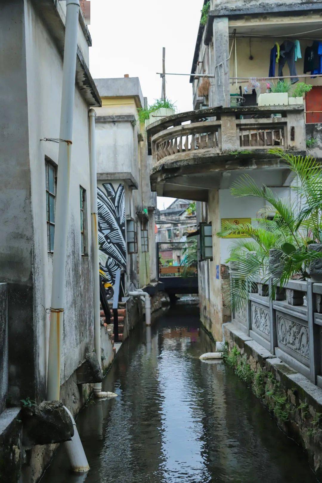 金蚝节即将震撼来袭沙井这条蚝文化之旅美翻你朋友圈