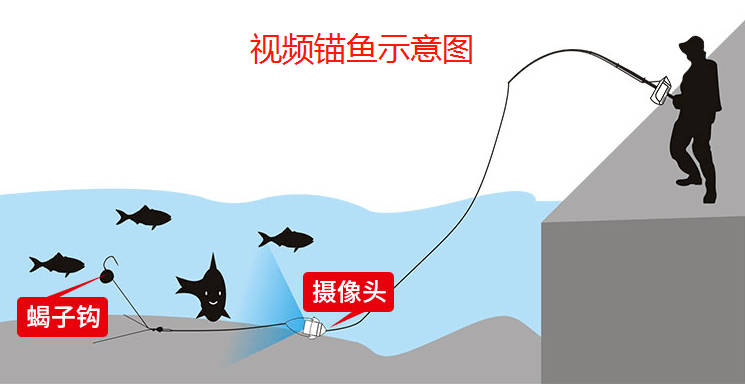 大快人心可视锚鱼在多地被捕钓鱼人反馈干的漂亮