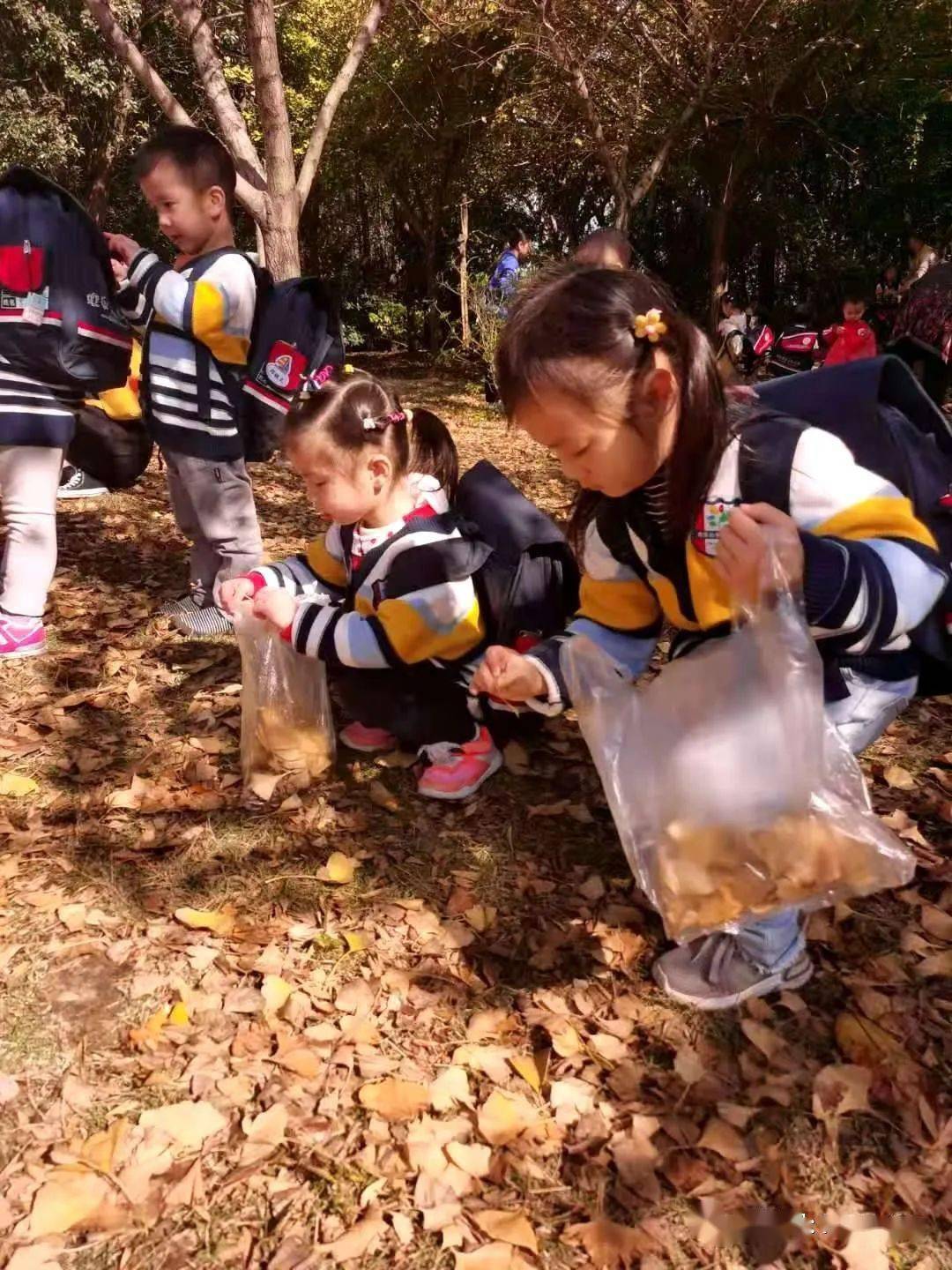 —欢乐谷亲子幼儿园苗苗班社会实践活动