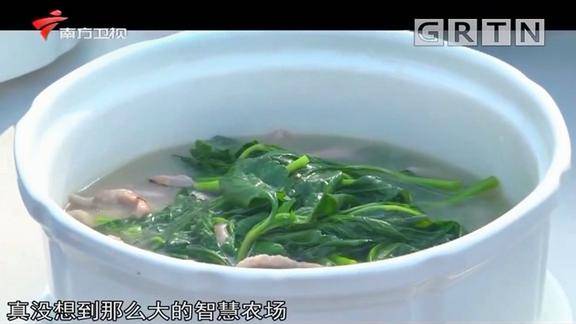 制作苦斋婆瘦肉汤,清热祛湿,非常适合南方朋友|我爱返寻味