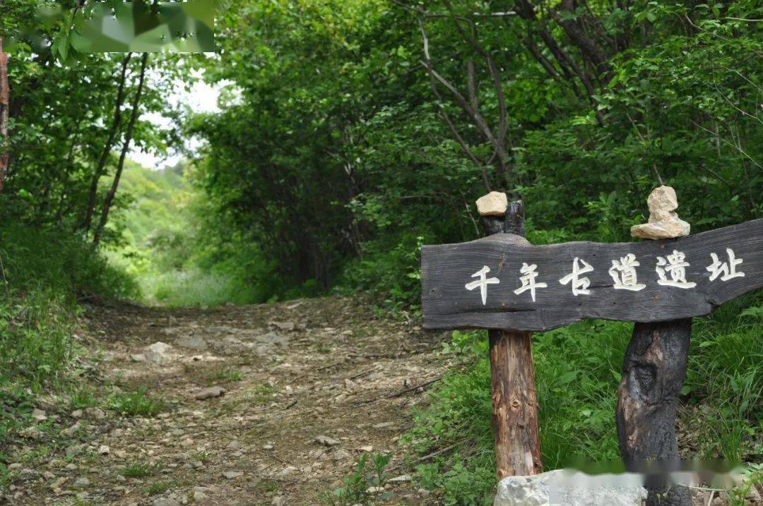 春水满四泽,感谢大家一年来对于秦楚古道景区的关注和支持.