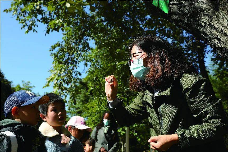 的林间小道前行,孩子们不断发现形态各异的果实,有味道神似柿饼的黑枣