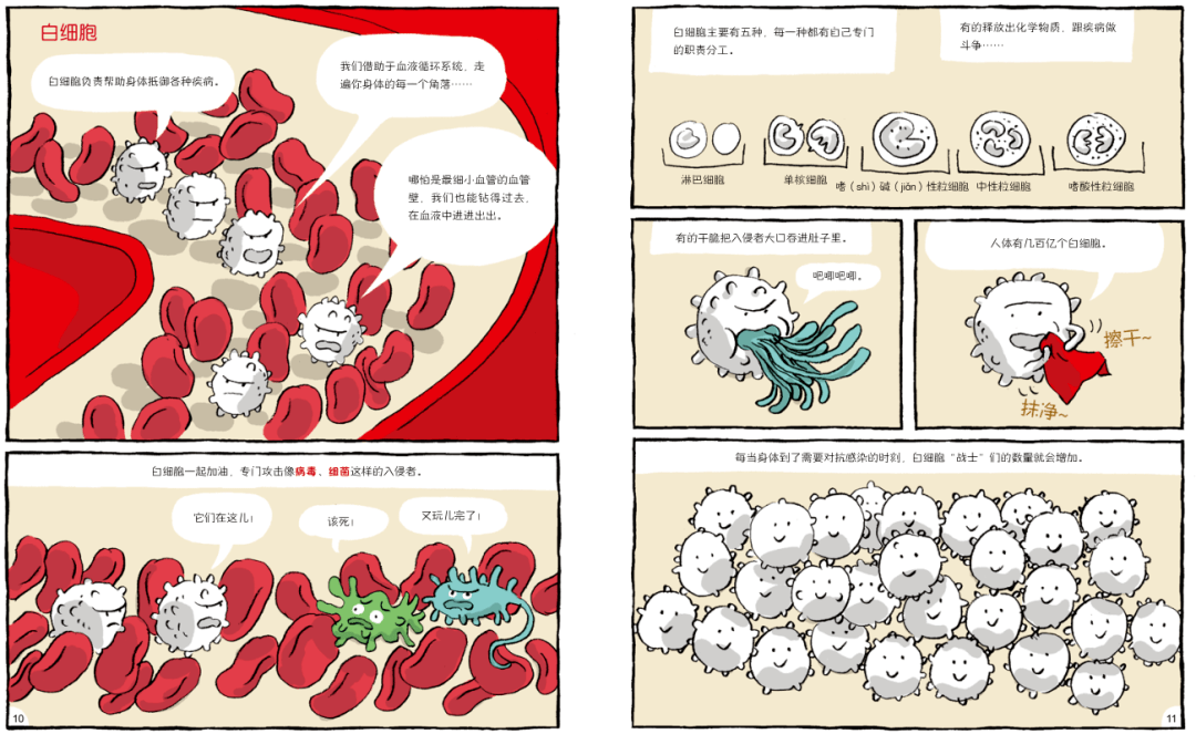白细胞作为人体中的卫士,会找出进入身体的细菌病毒,并吃掉它们