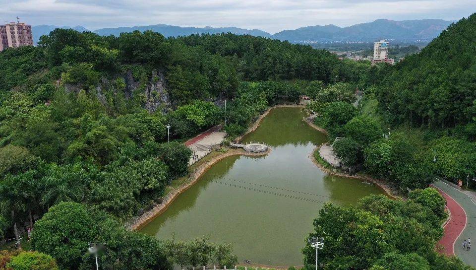 平南这个国家4a级景区身处闹市却清静幽雅绿意盎然