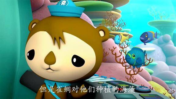 海底小纵队海底小队下海找食材遇到了雀鲷转眼间成了谈判员