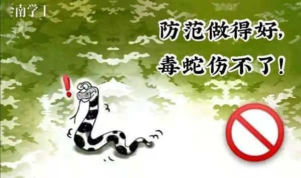 安全小贴士防蛇进行时