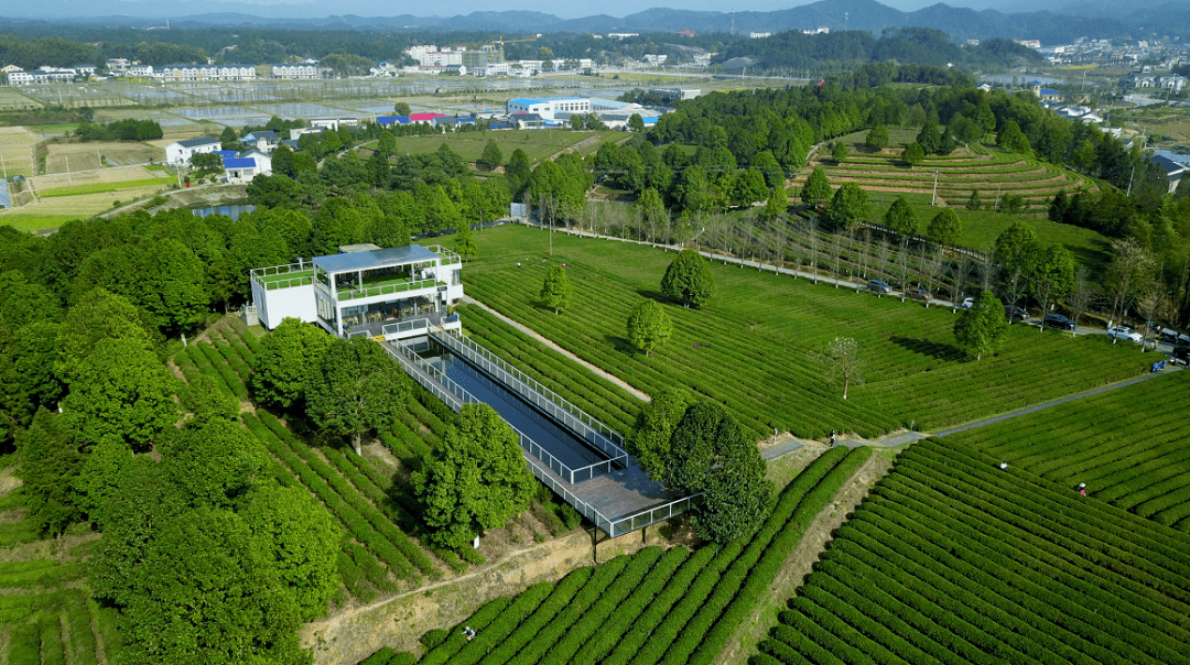 湘豐茶博園湘豐山莊長沙胖仔農莊三珍虎園石壁湖公園今天的金井鎮天藍