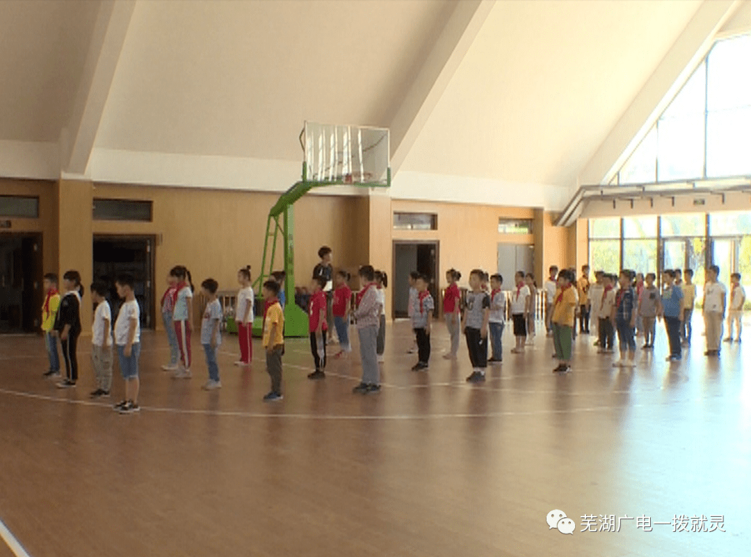 芜湖放心午餐内容公布荤素搭配12元每份家长速看