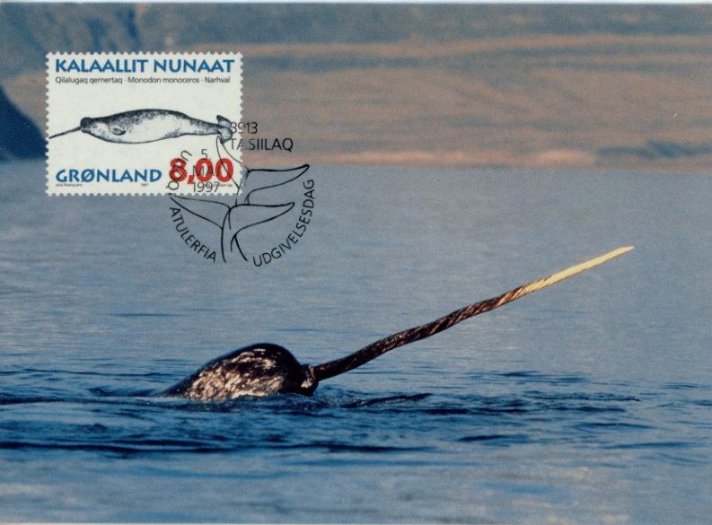 monodon monoceros一角鲸长须鲸,英文名:fin whale.