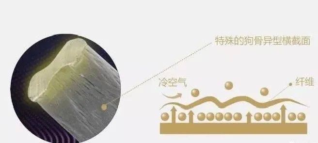 最近很火的「德绒」到底是什么面料?_纤维
