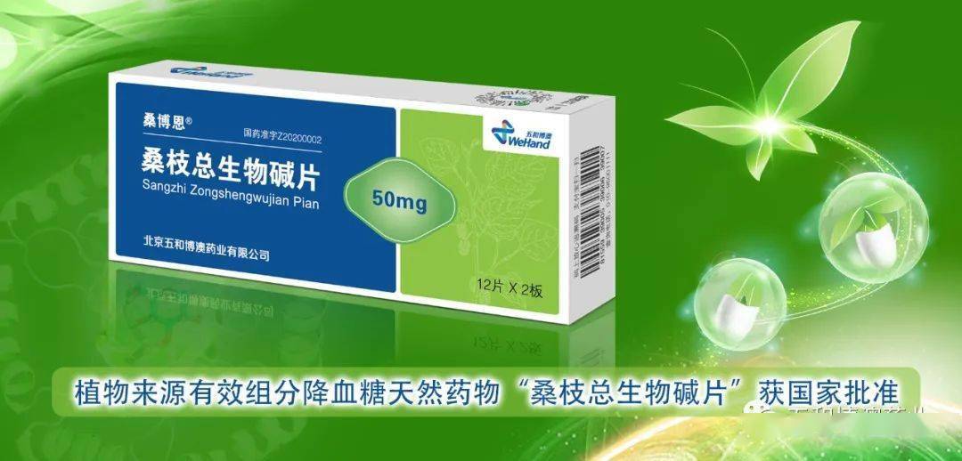 桑枝总生物碱研发历程采用现代药学技术全面评价抗糖尿病作用