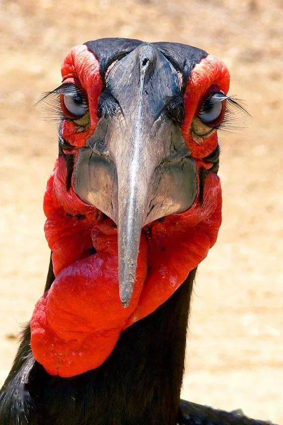 新鲜出炉绝美滟照!太惊滟了!_嘴巴