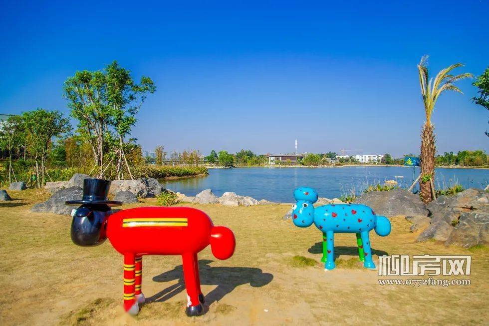 实拍岜公塘湿地公园大变样市民游玩多了个好去处