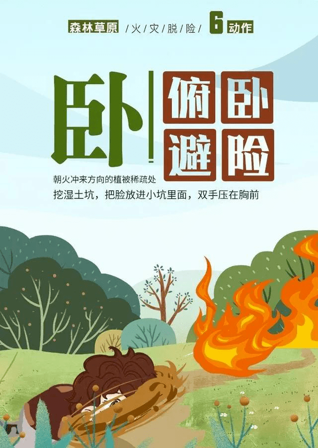 森林防火宣传月特辑(三-森林草原火灾脱险6字诀