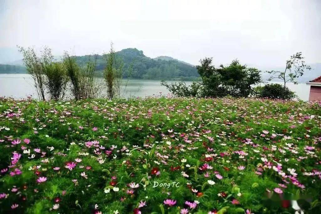 庐江县百花寨景区图片