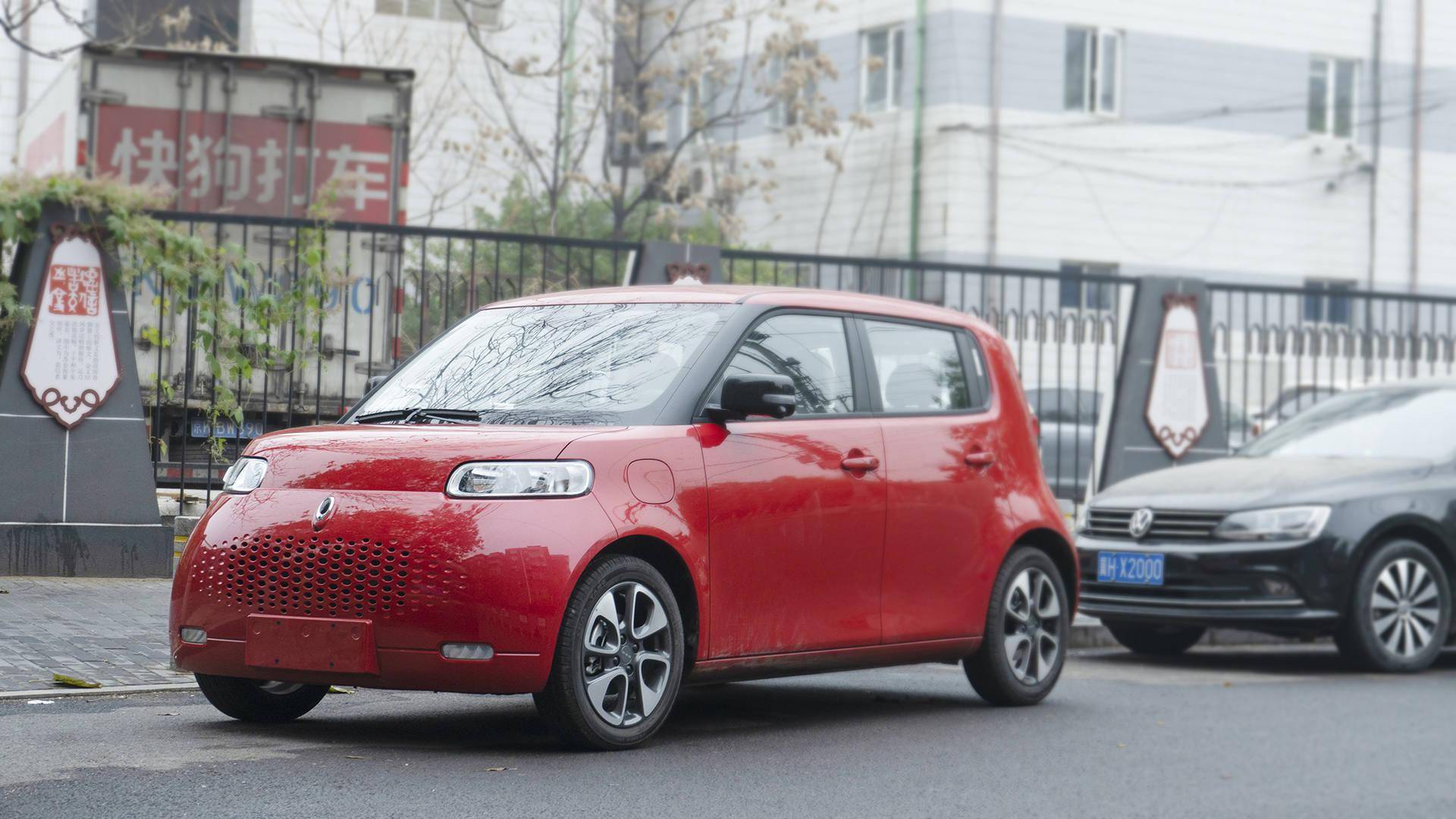 萌萌可爱省心选 长城欧拉白猫图赏