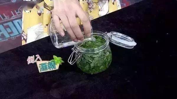 经验用薄荷自制纯天然空气清新剂给力