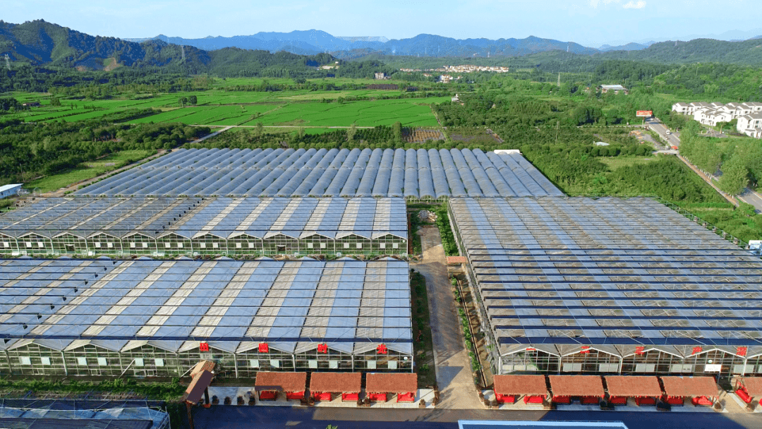 在德興市池口農場建設4a級旅遊景區暨青舍裡旅遊區(池口田園綜合體)