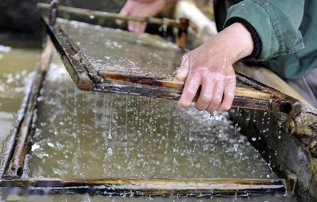 非物质文化遗产杏坪皮纸造纸术的活化石